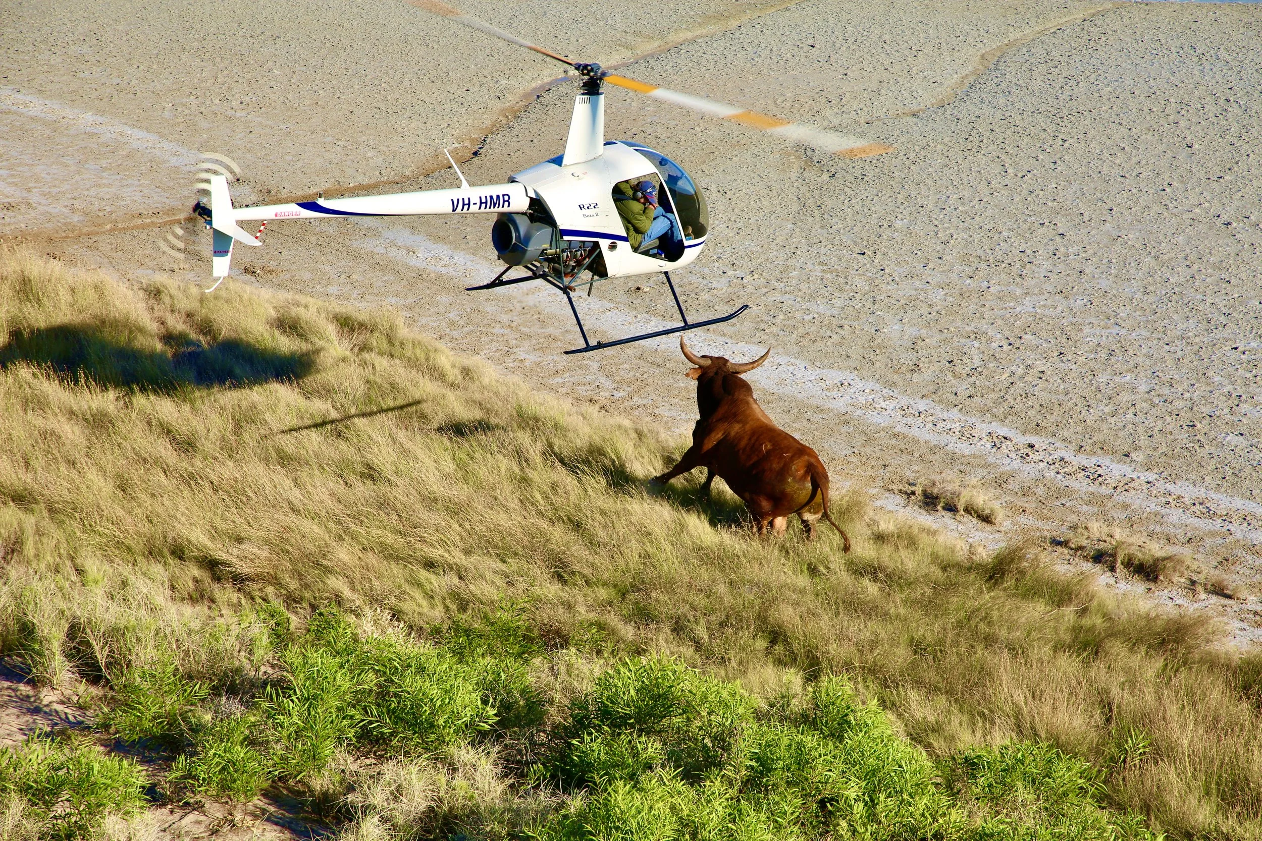 Peter Alexander Ritter