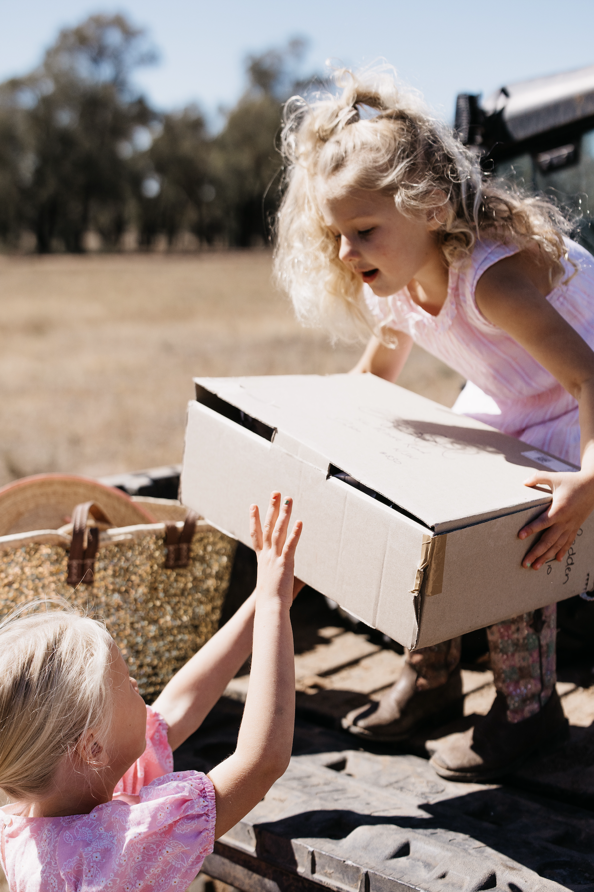 Screenshot 2025-11-27 at 5.18.40 pm.png