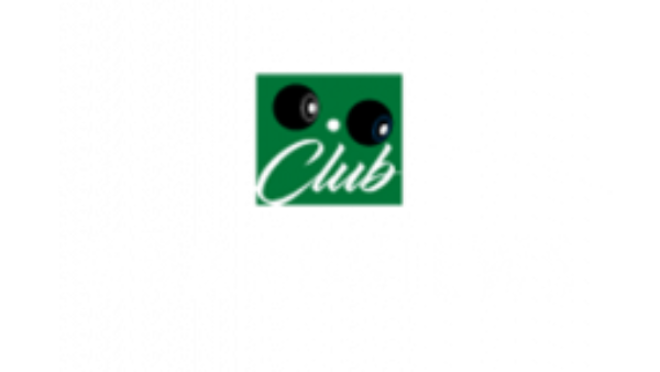 11.png