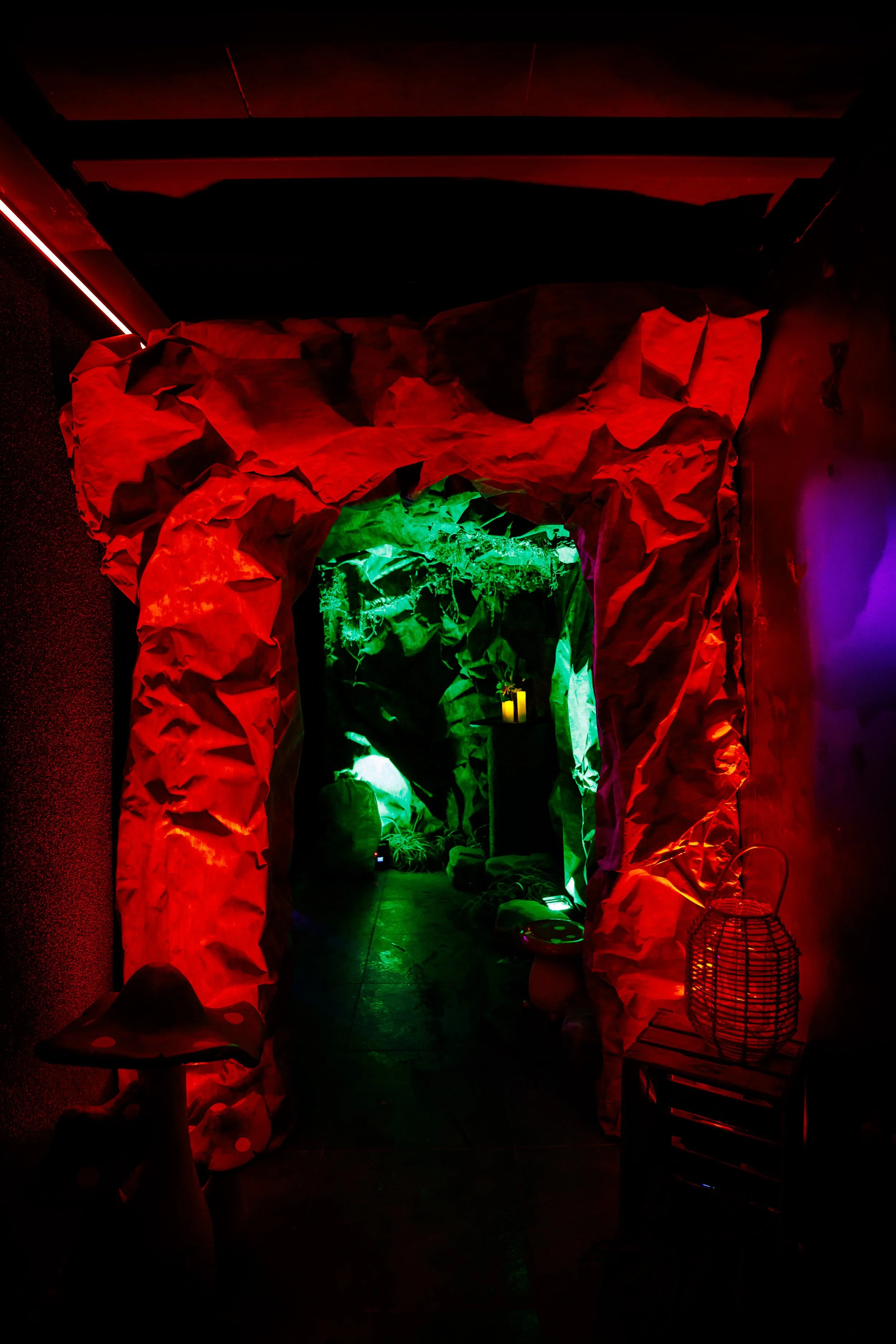 RSM-090126-6.jpg