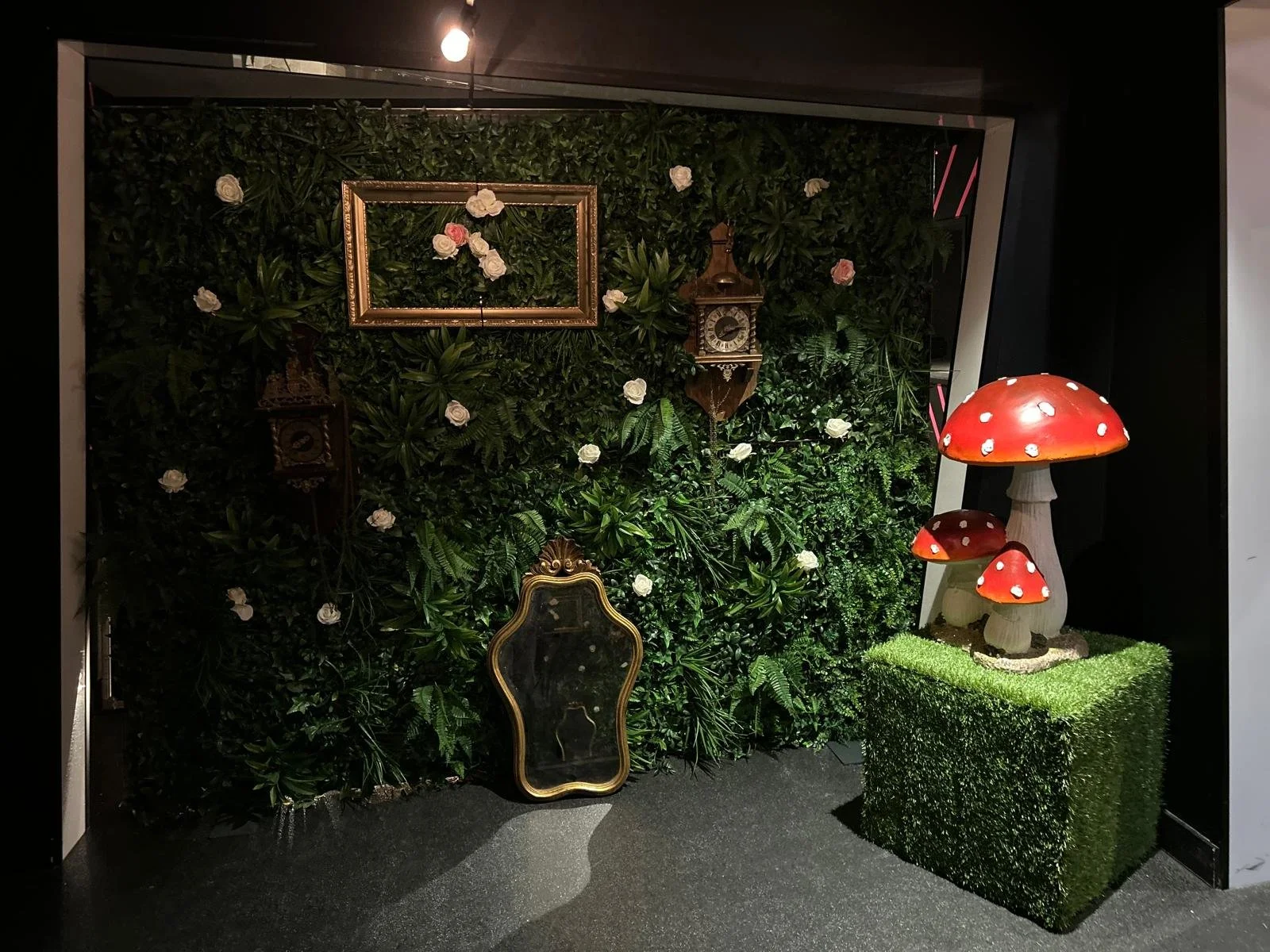 Alice in Wonderland (16).jpeg