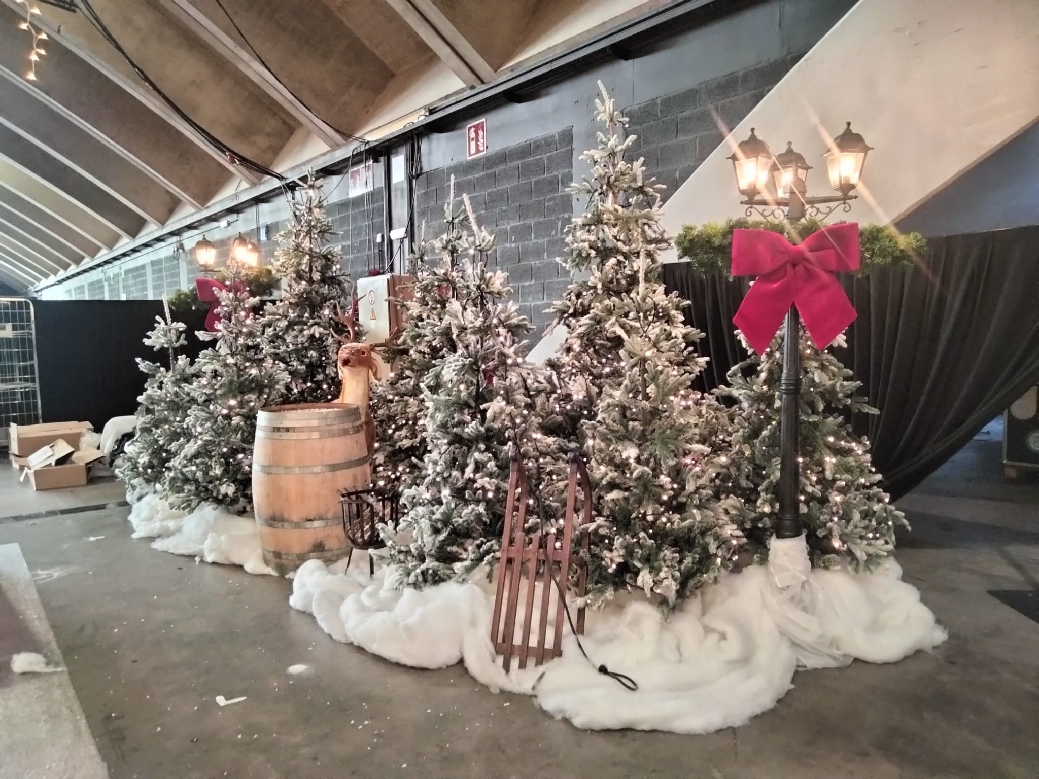 WhatsApp Image 2025-11-12 at 14.33.28 (1).jpeg