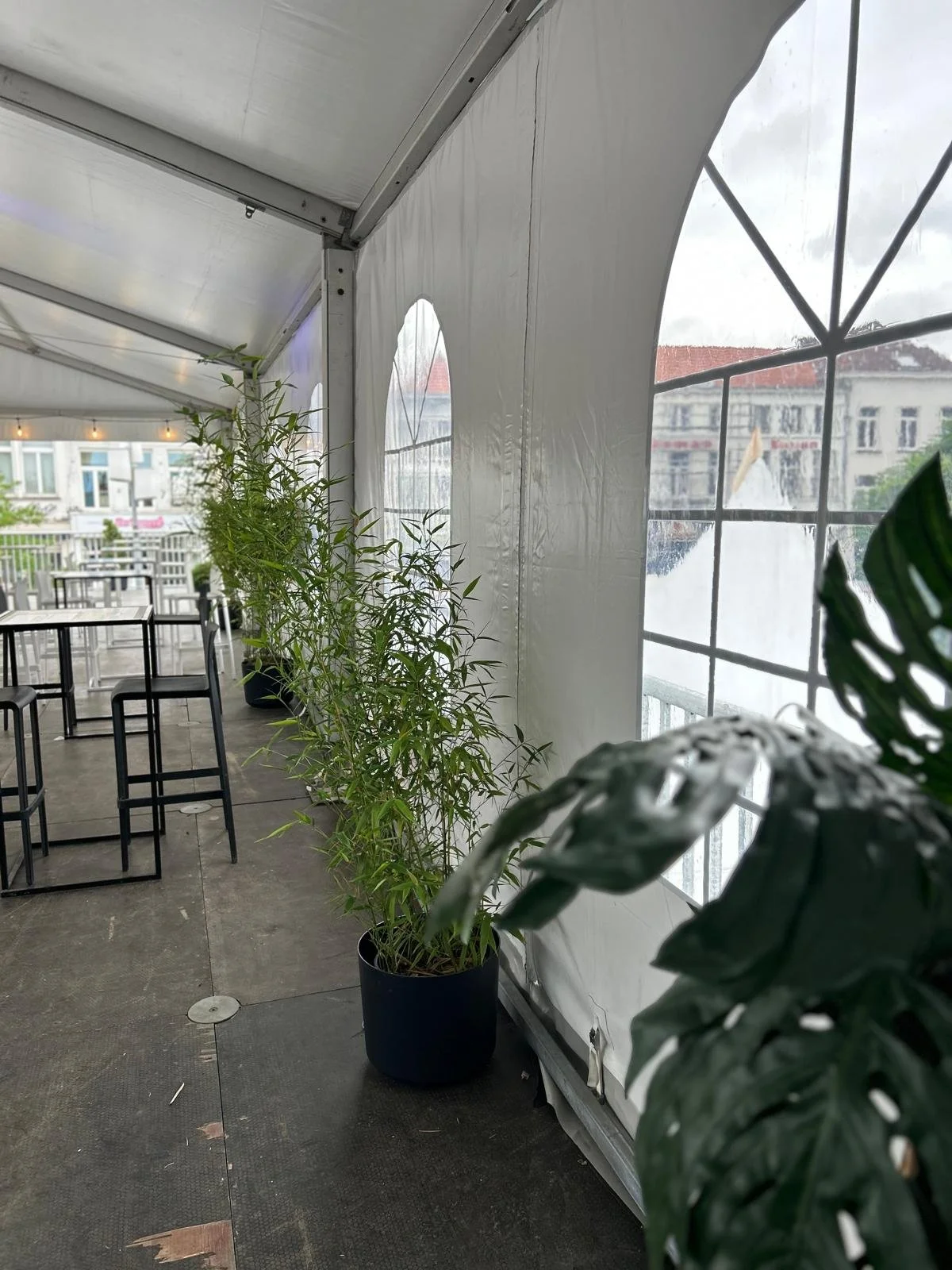 AB Bierfeesten Oudenaarde-15.jpeg