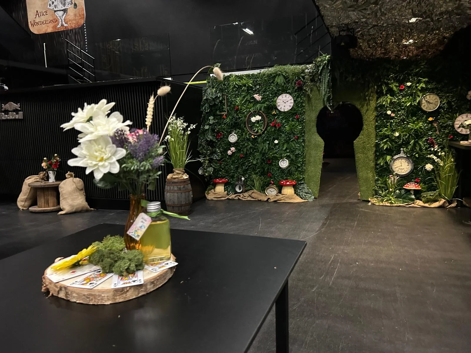 Alice in Wonderland (2).jpeg