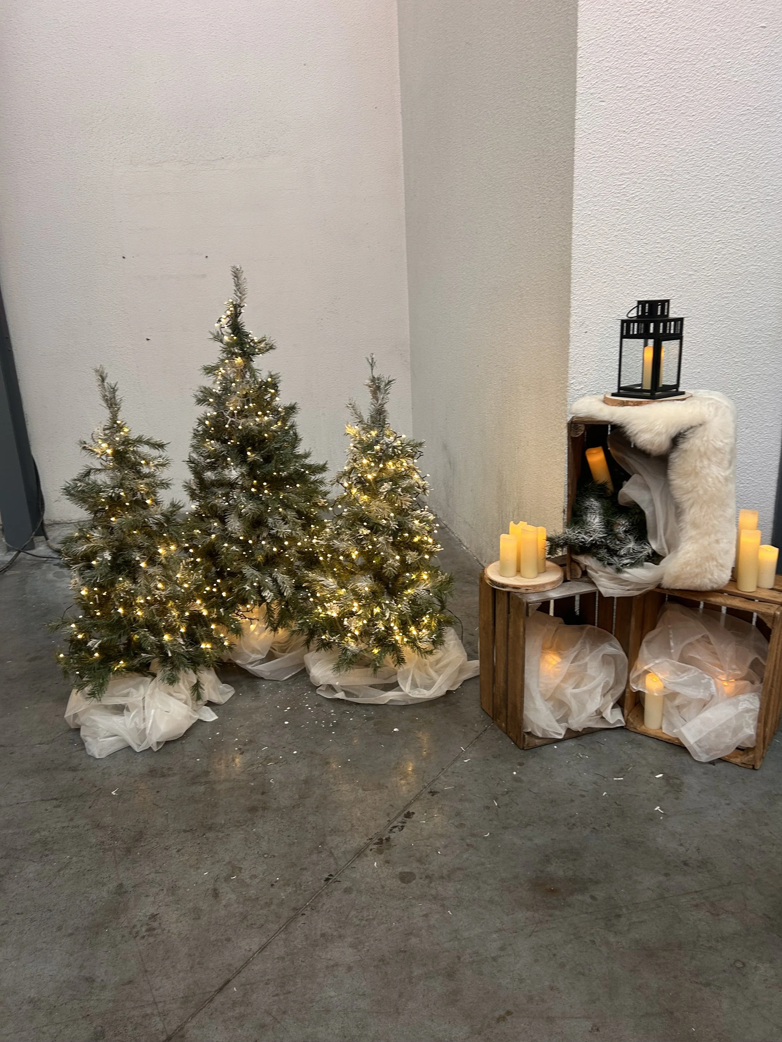 winterdecoratie-the egg-13.JPG