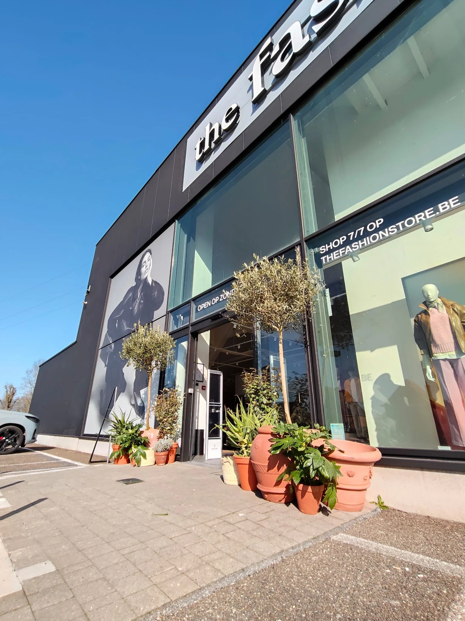 FS-Ellen-2026 (2).jpeg