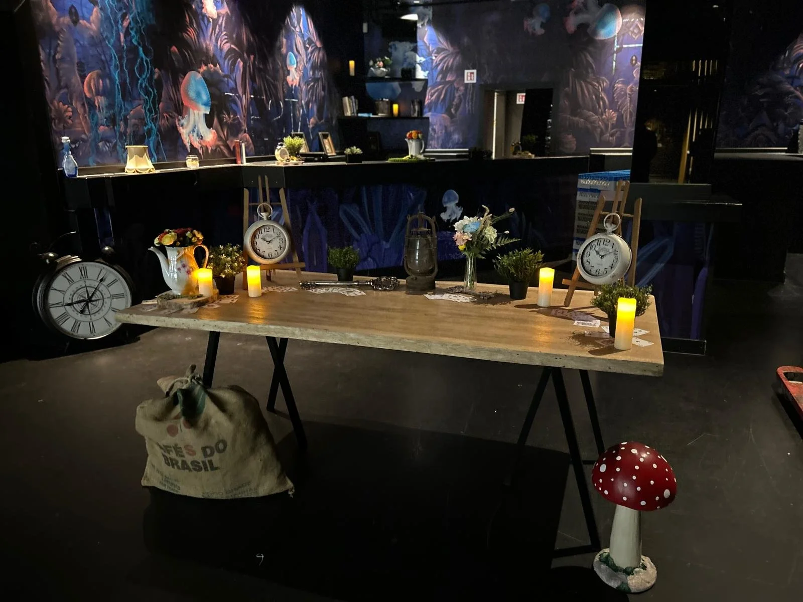 Alice in Wonderland (10).jpeg