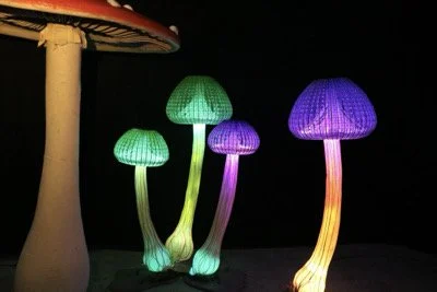 lichtgevende paddenstoel.jpg