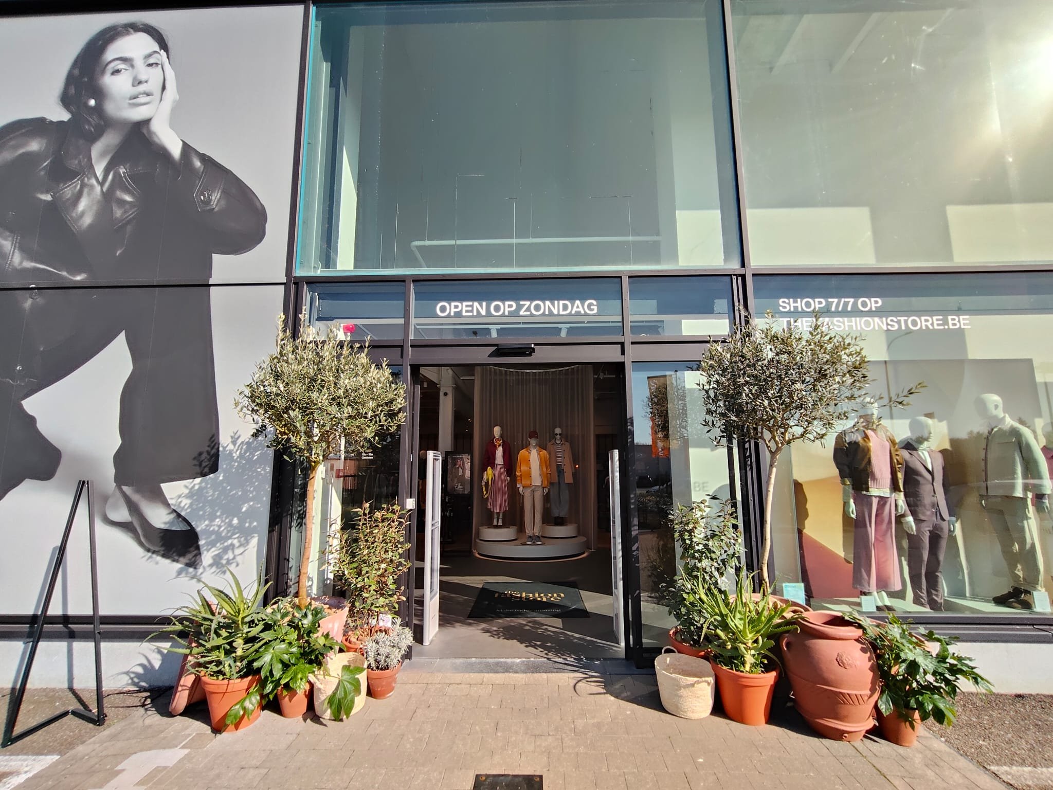 FS-Ellen-2026 (3).jpeg