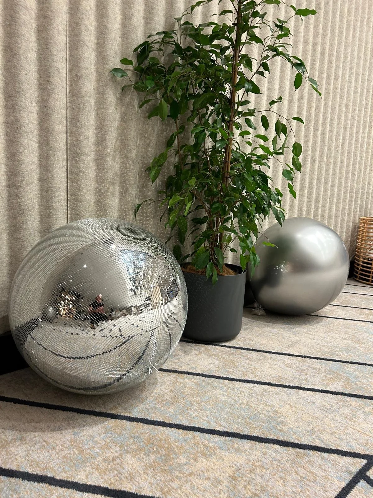 Zilver Gala (1).jpeg