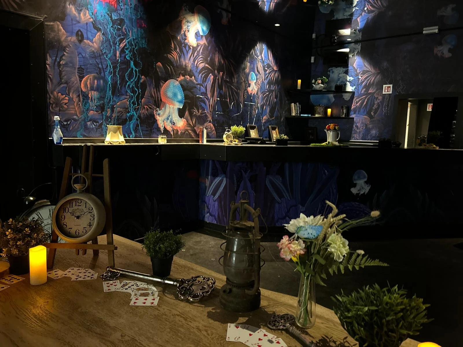 Alice in Wonderland (33).jpeg