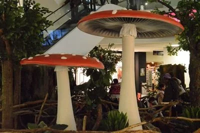 paddenstoelen.jpeg