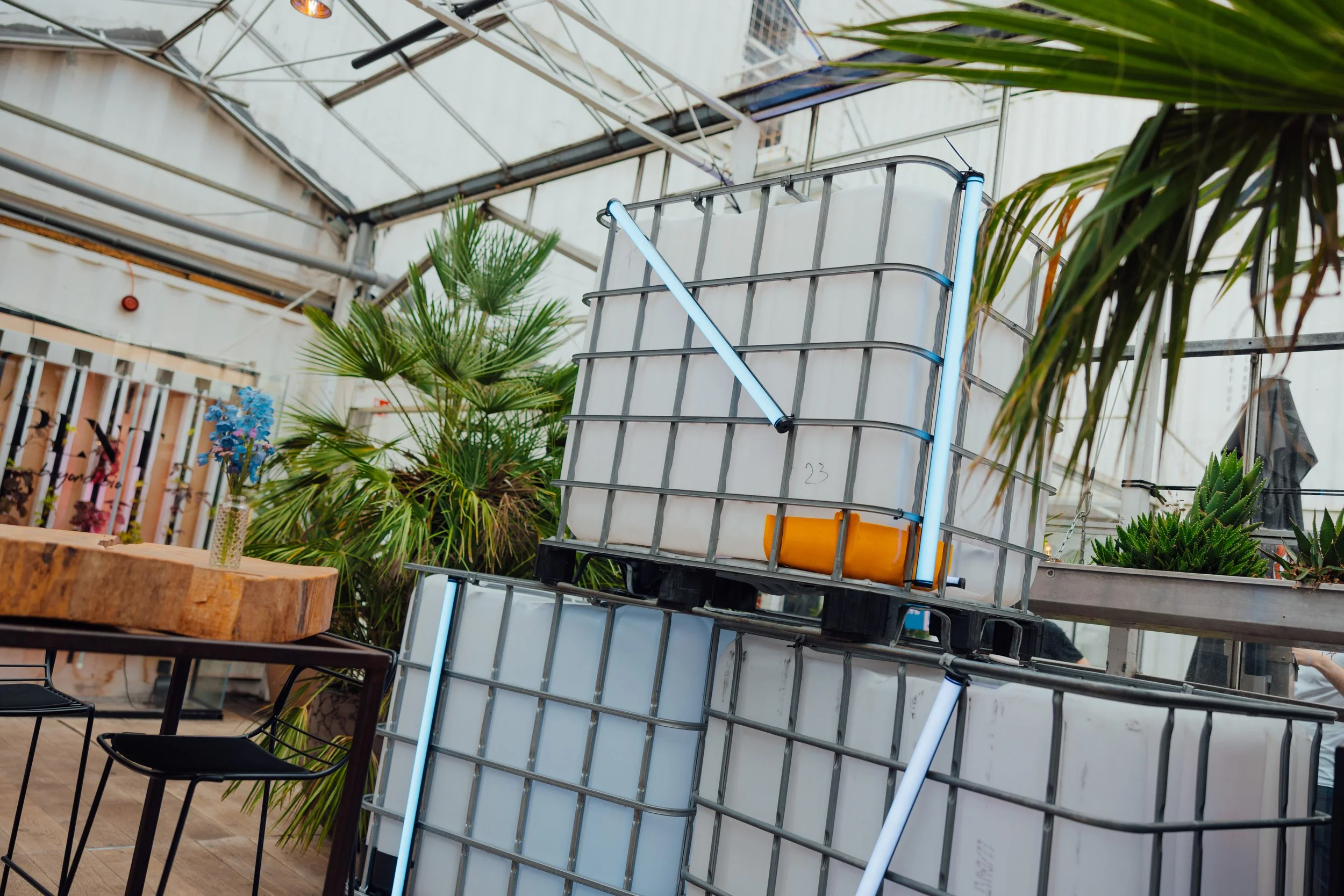 Bestseller - Plein Publiek 25-05-2024-33.jpg