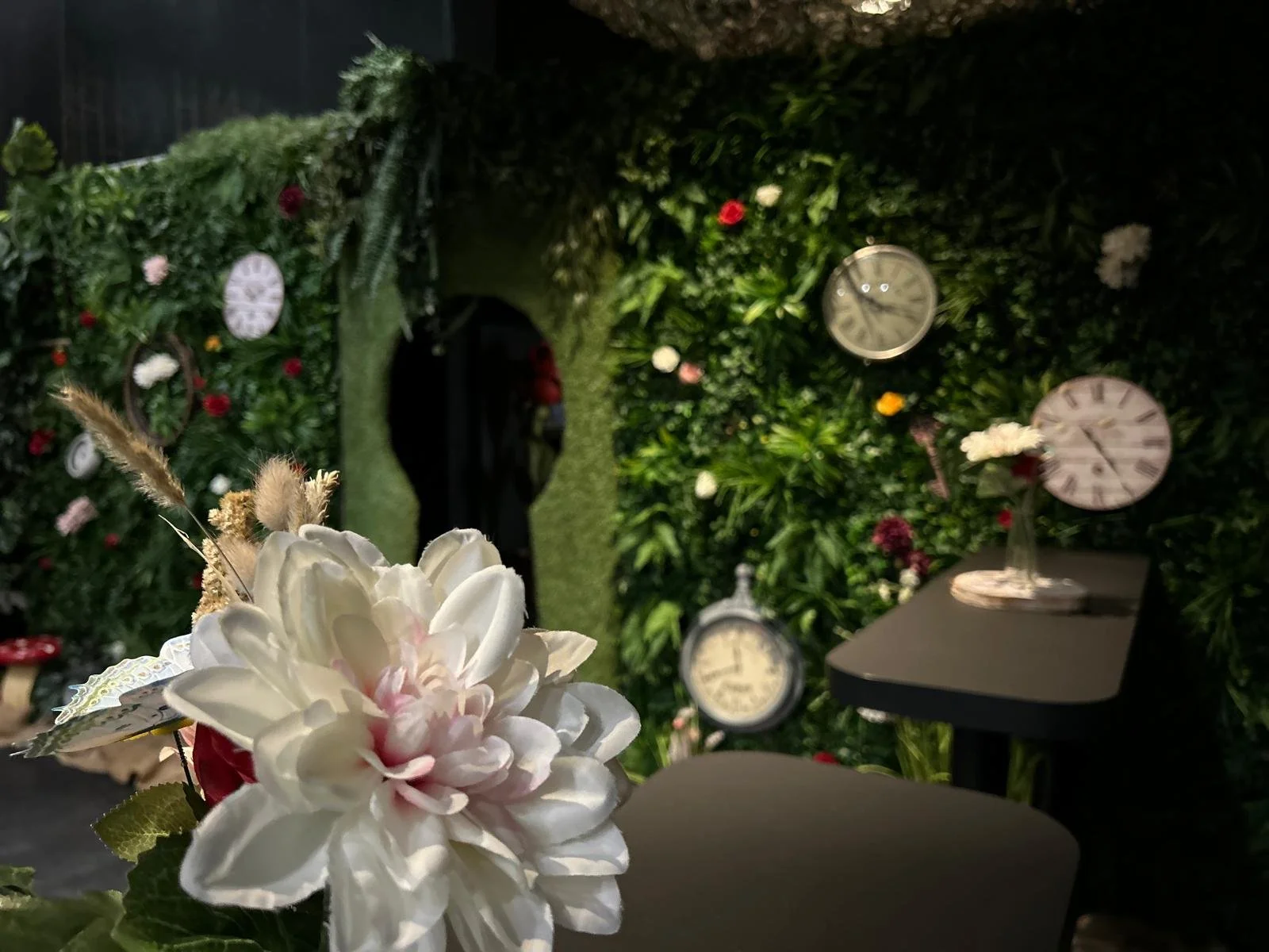 Alice in Wonderland (21).jpeg