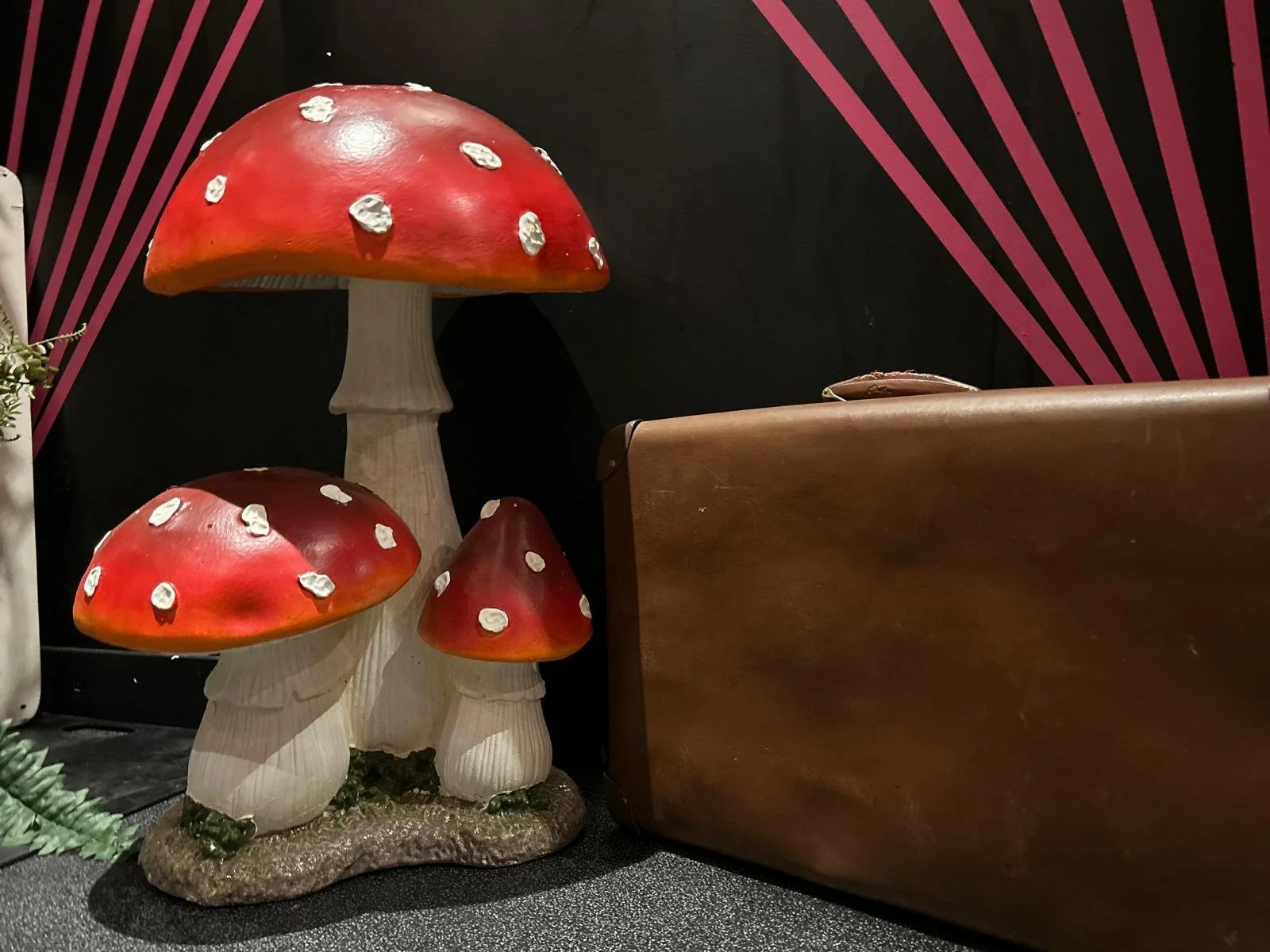 Alice in Wonderland (30).jpeg