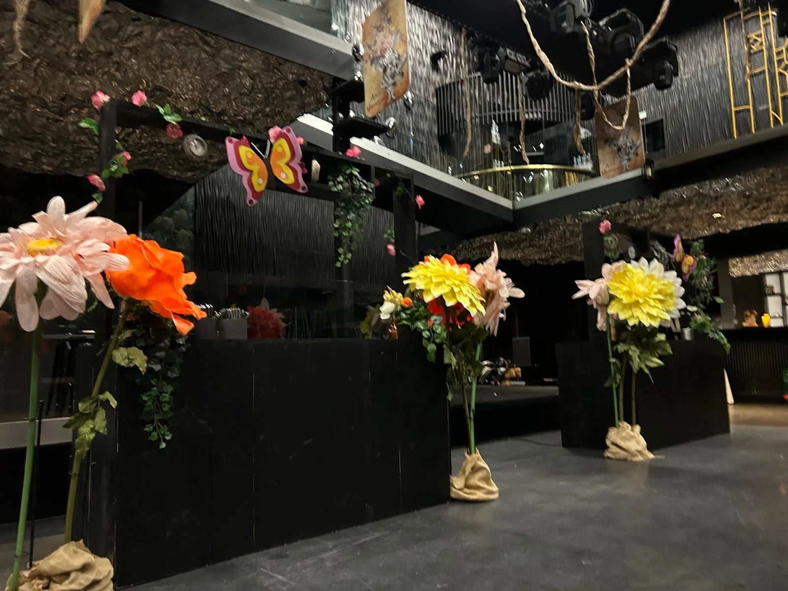 Alice in Wonderland (26).jpeg