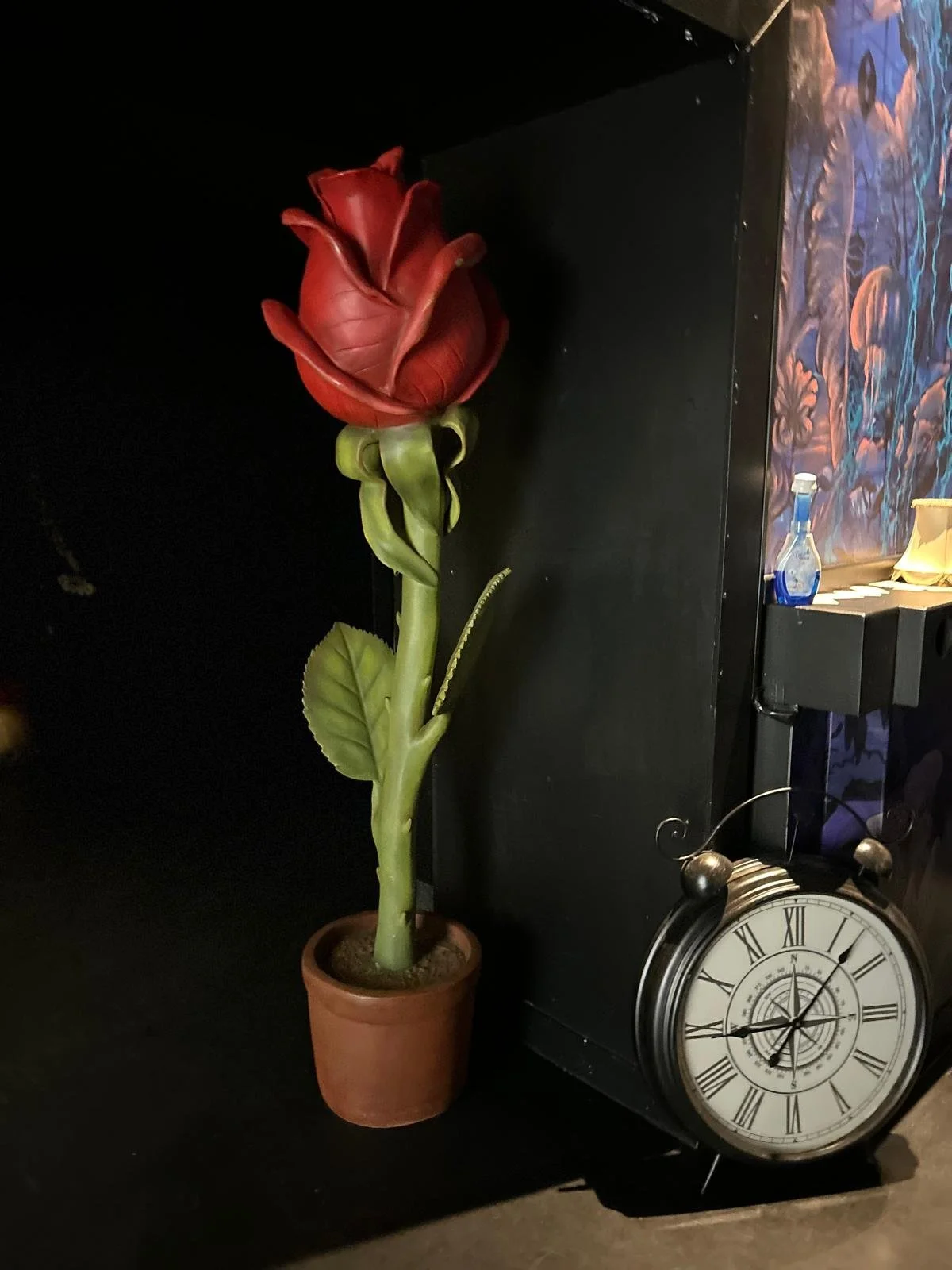 Alice in Wonderland (35).jpeg