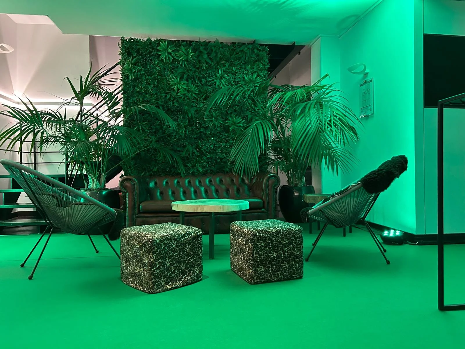 jungle evet-19.jpeg