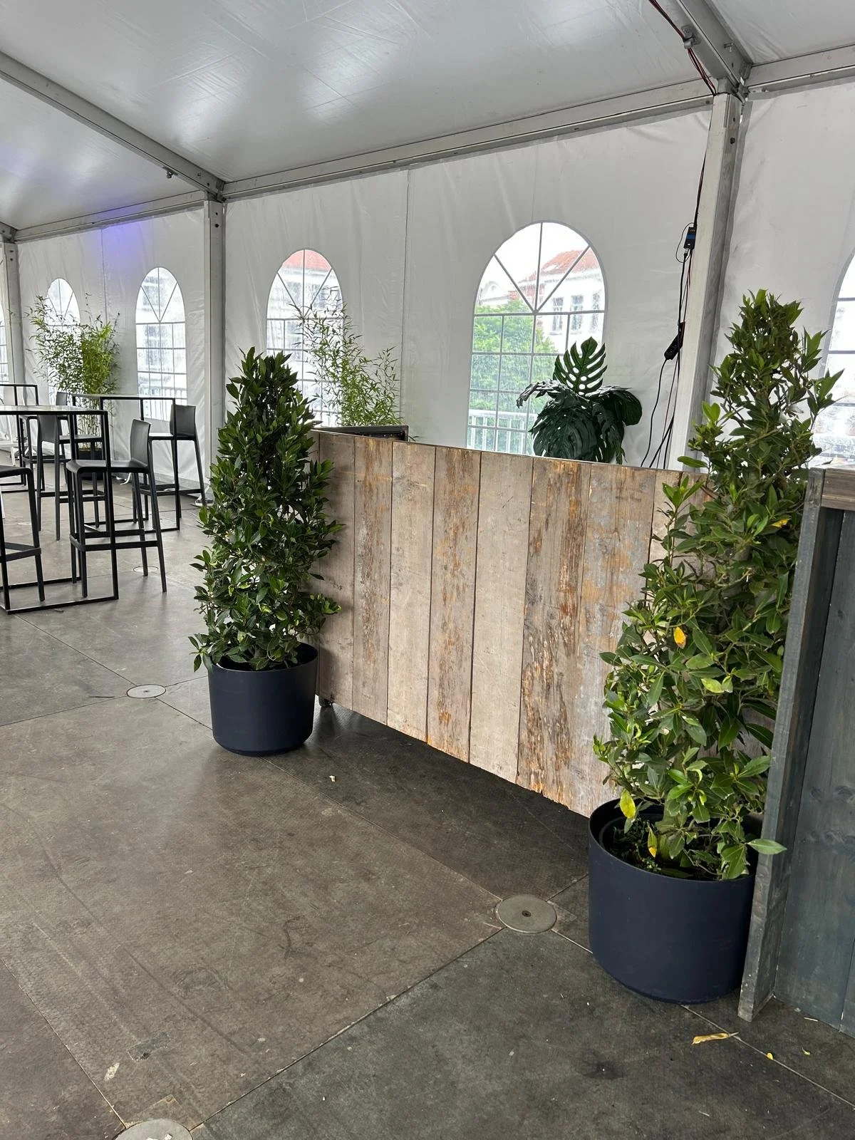 AB Bierfeesten Oudenaarde-11.jpeg