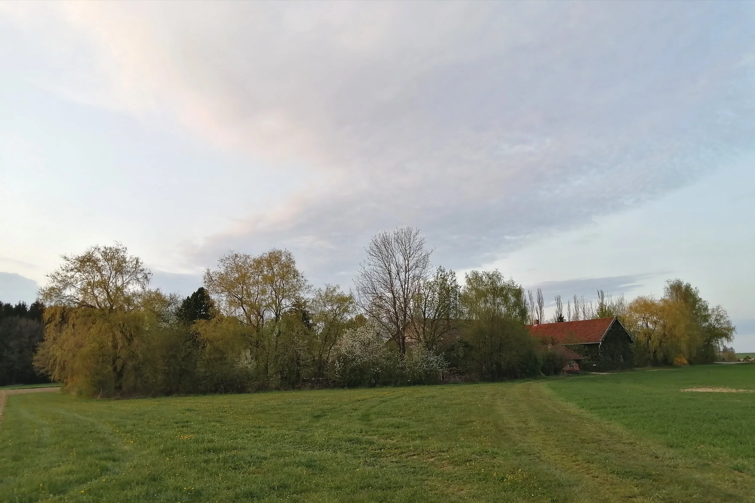 IMG_20210428_201610.jpg