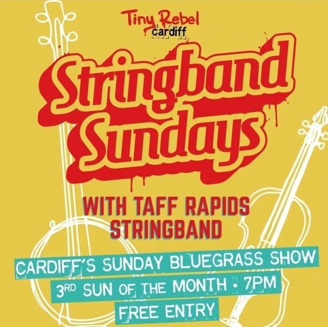 TAFF RAPIDS STRINGBAND
