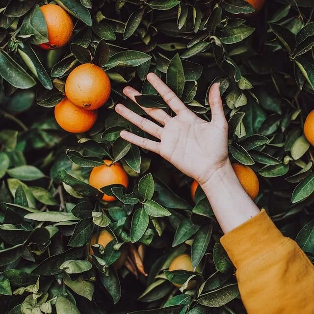 Follow us on Instagram