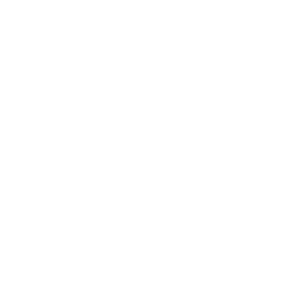 the-ritz-carlton-.png
