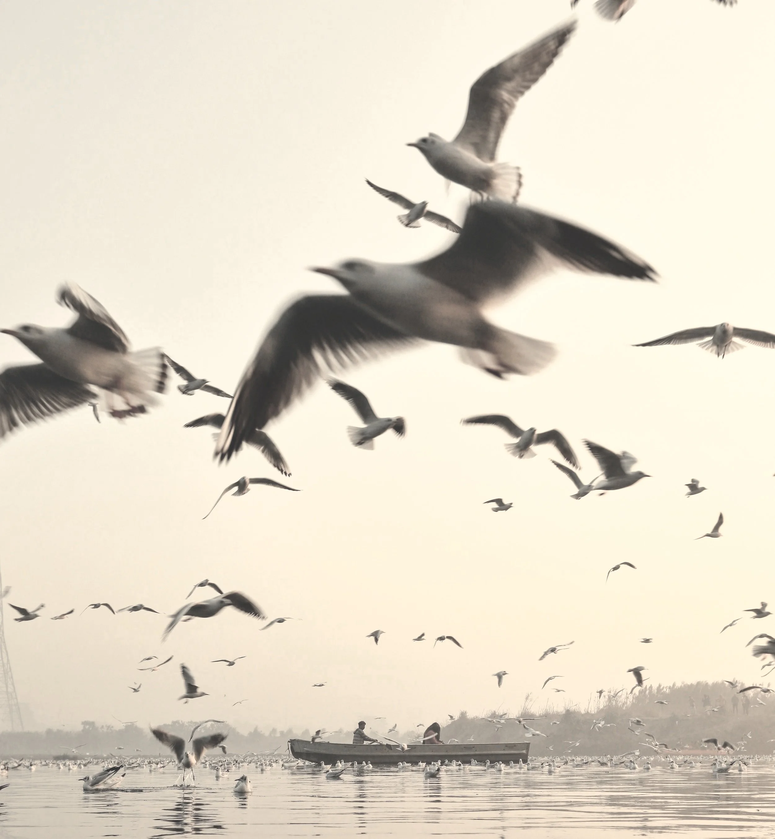 pexels-nav-photography-5459135.jpg