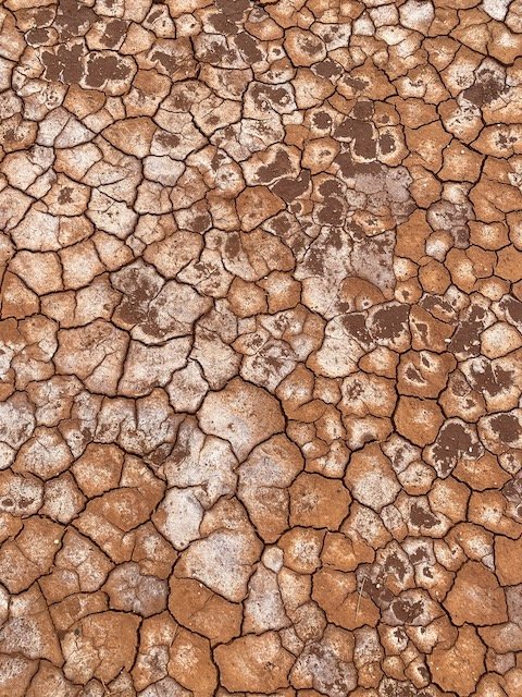 The crusting surface at Lake Ballard (Alex Sherlock, 2022)