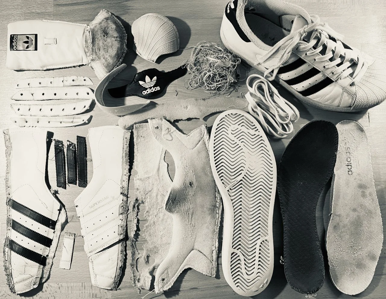 A black and white flat-lay picture of a deconstructed Adidas Superstar sneaker.