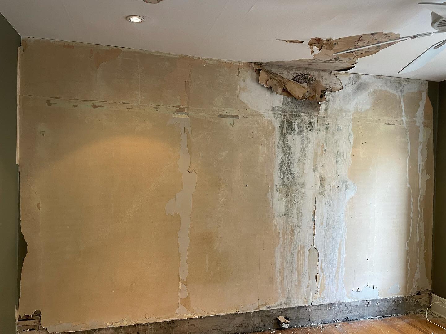 Just a little lath and plaster removal.  #demolition #demo #renovations #renovation #toronto #torontorenovations #hamiltonrealestate #hamiltonrealtor #hamiltonproperty #torontorealestate #burlingtonrealestate #ancasterrealestate #realestate #torontod