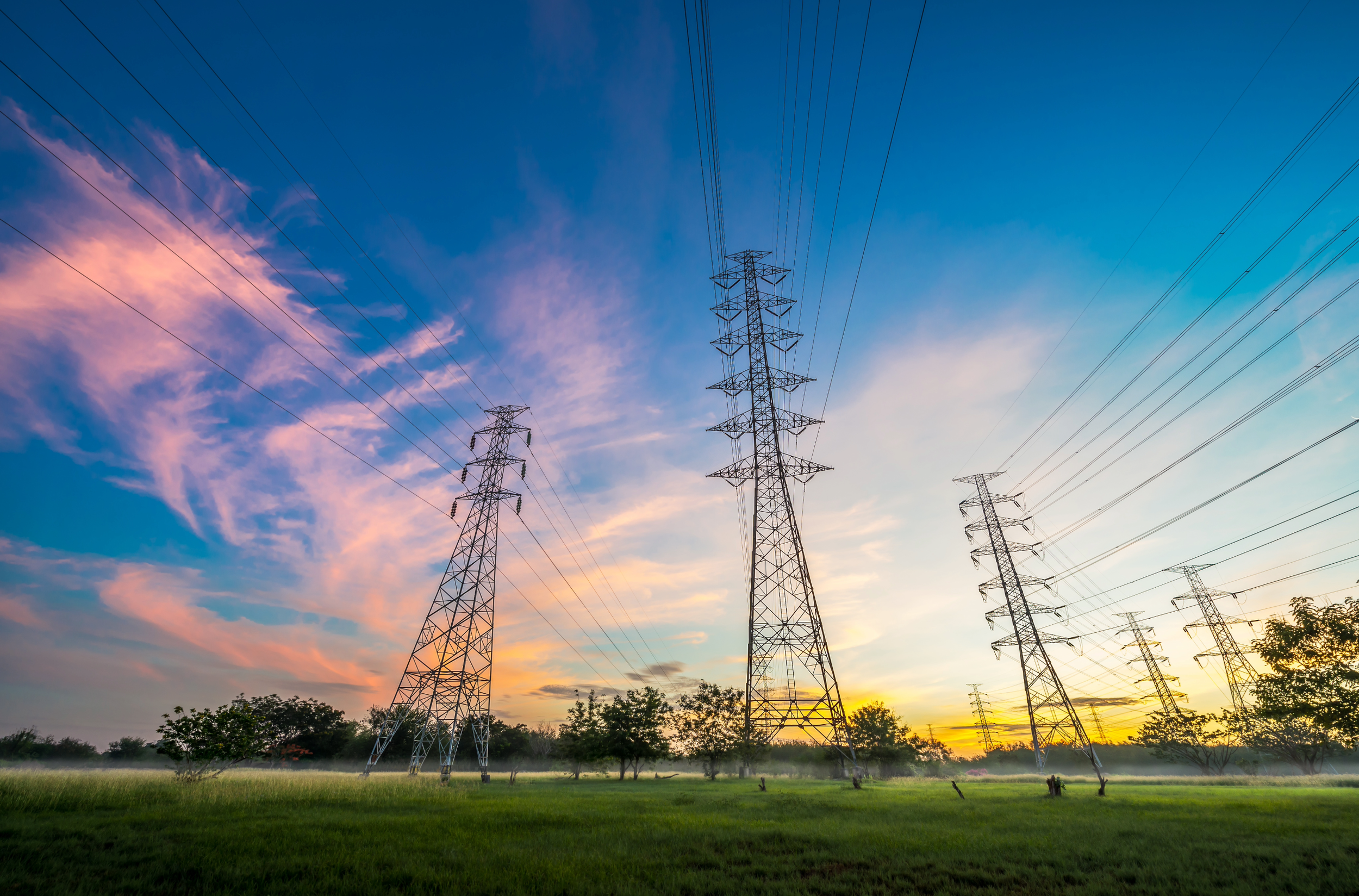 Adoptions Manager Vacancy