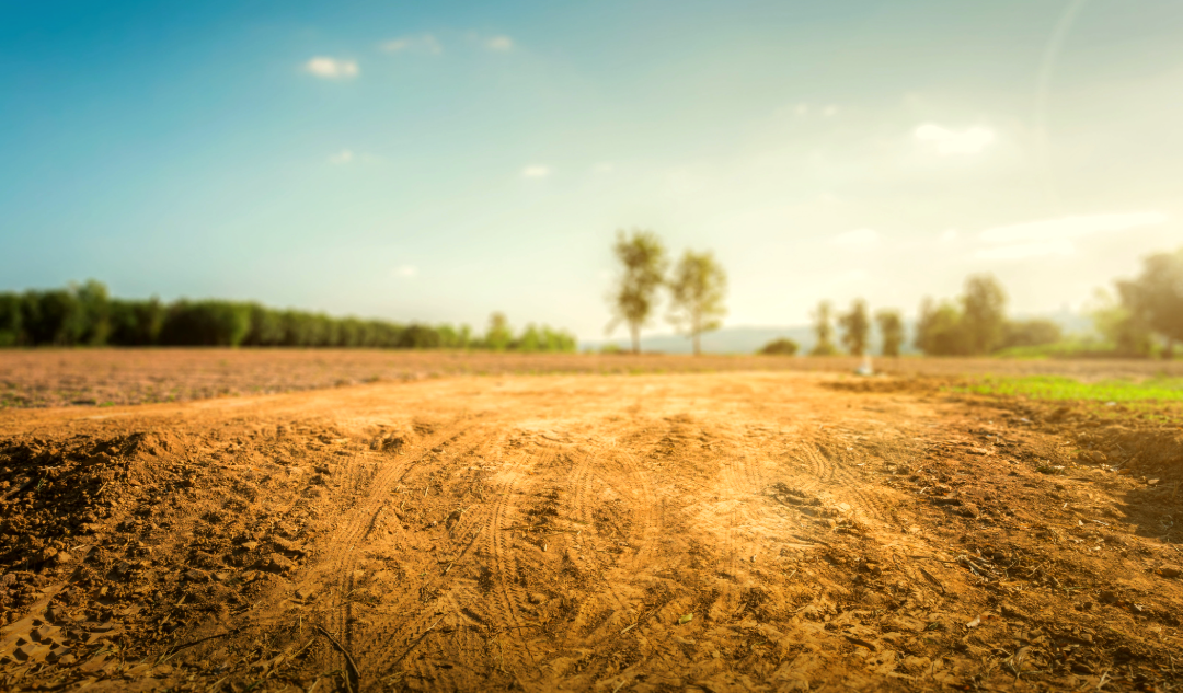 Group Land Director, Housebuilding