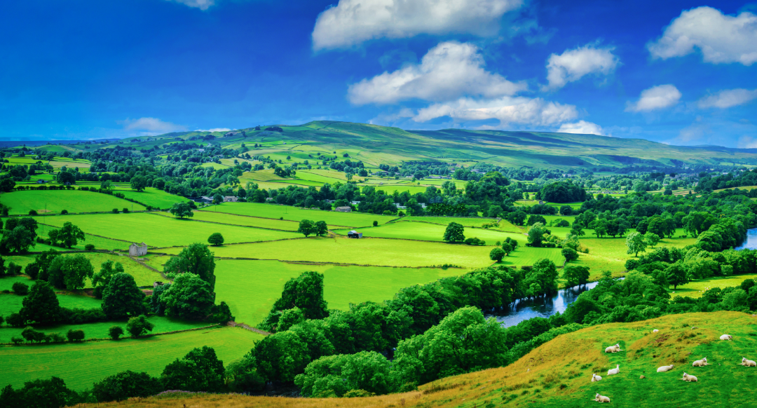 Senior Land Manager, Housebuilding