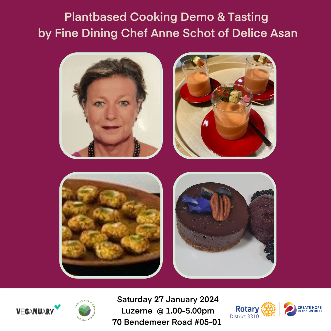 Veganuary24 Cooking demo square (1).png