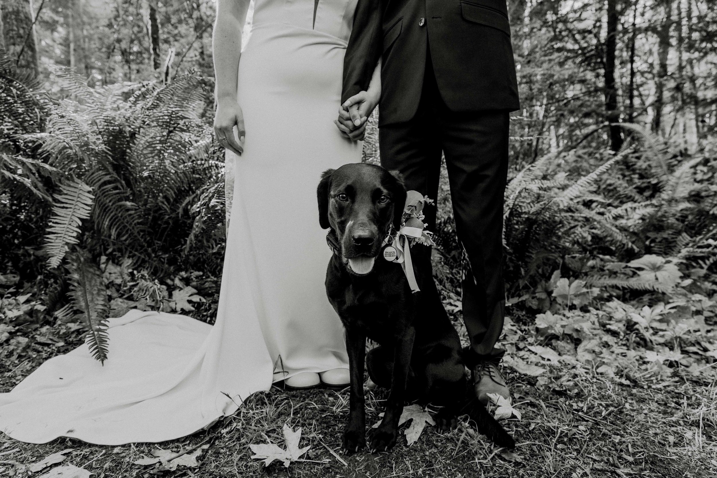 Wynnie-+-Wyatt_Weddomg_RENLĒ-STUDIO_181.jpg