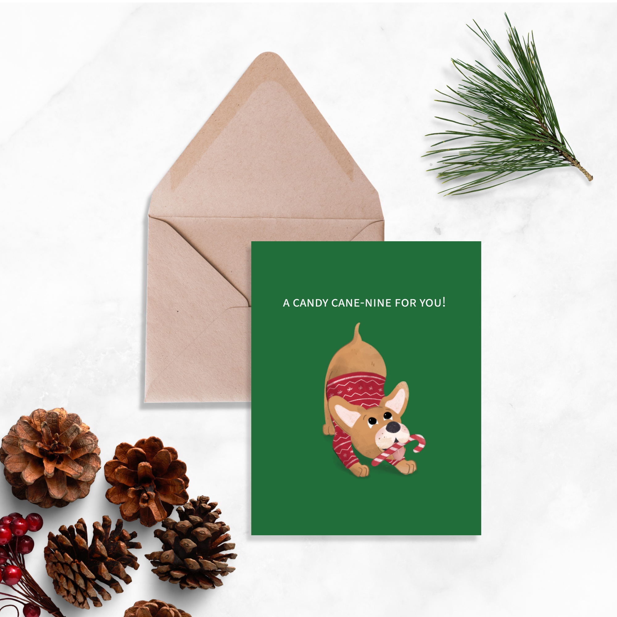 Holiday - Frenchie