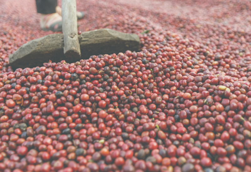 Tracks website images 2021 (3).png