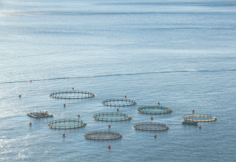 Tracks website images 2021 (4).png