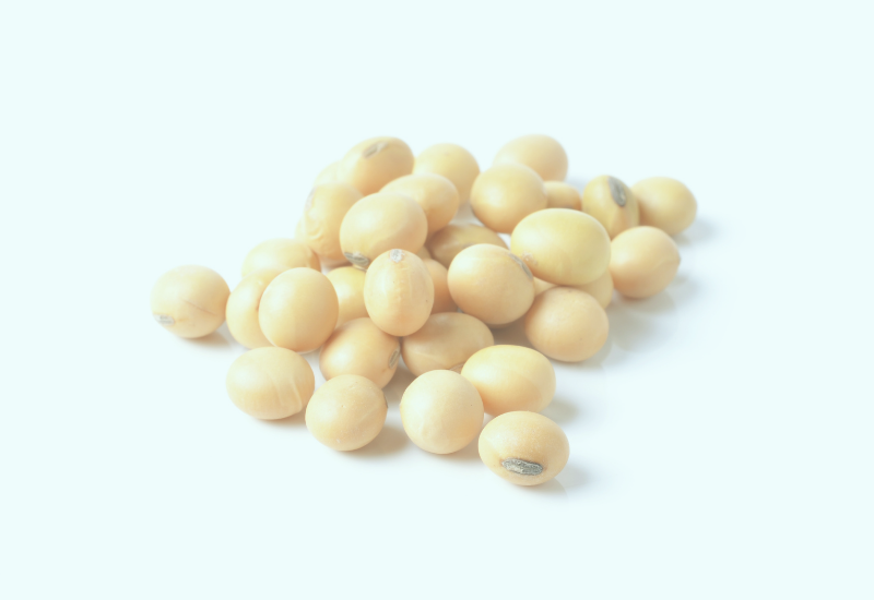 2020 Tracks website images.png