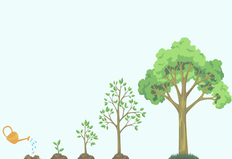 2020 Tracks website images (3).png