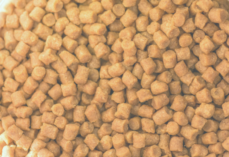 2020 Tracks website images (1).png