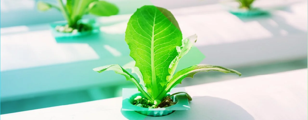 Casino geen deurArtboard 12 copy 8-100.jpg