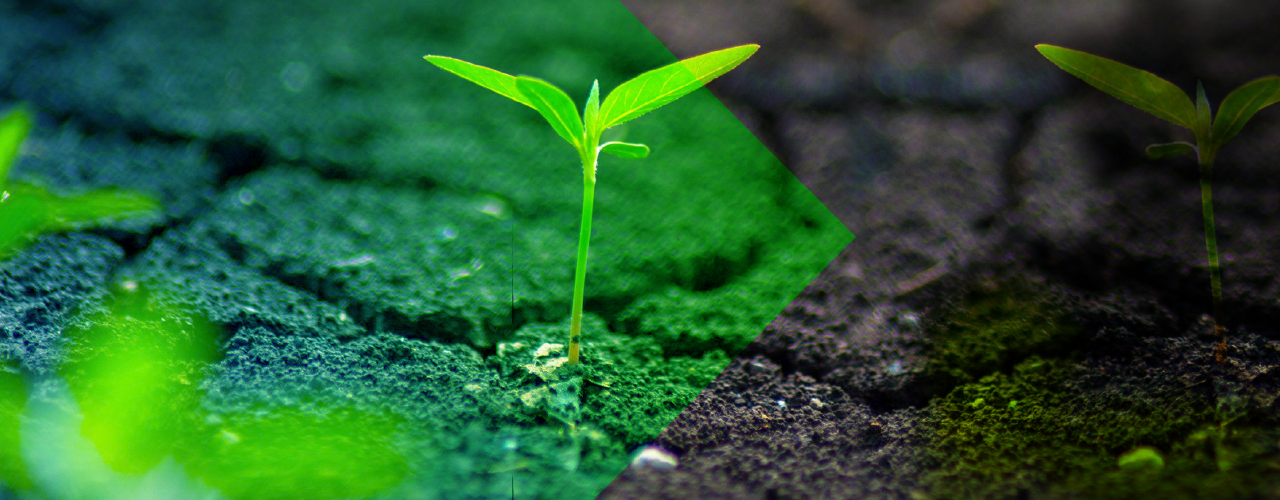 S2web22Artboard 12 copy 3.png