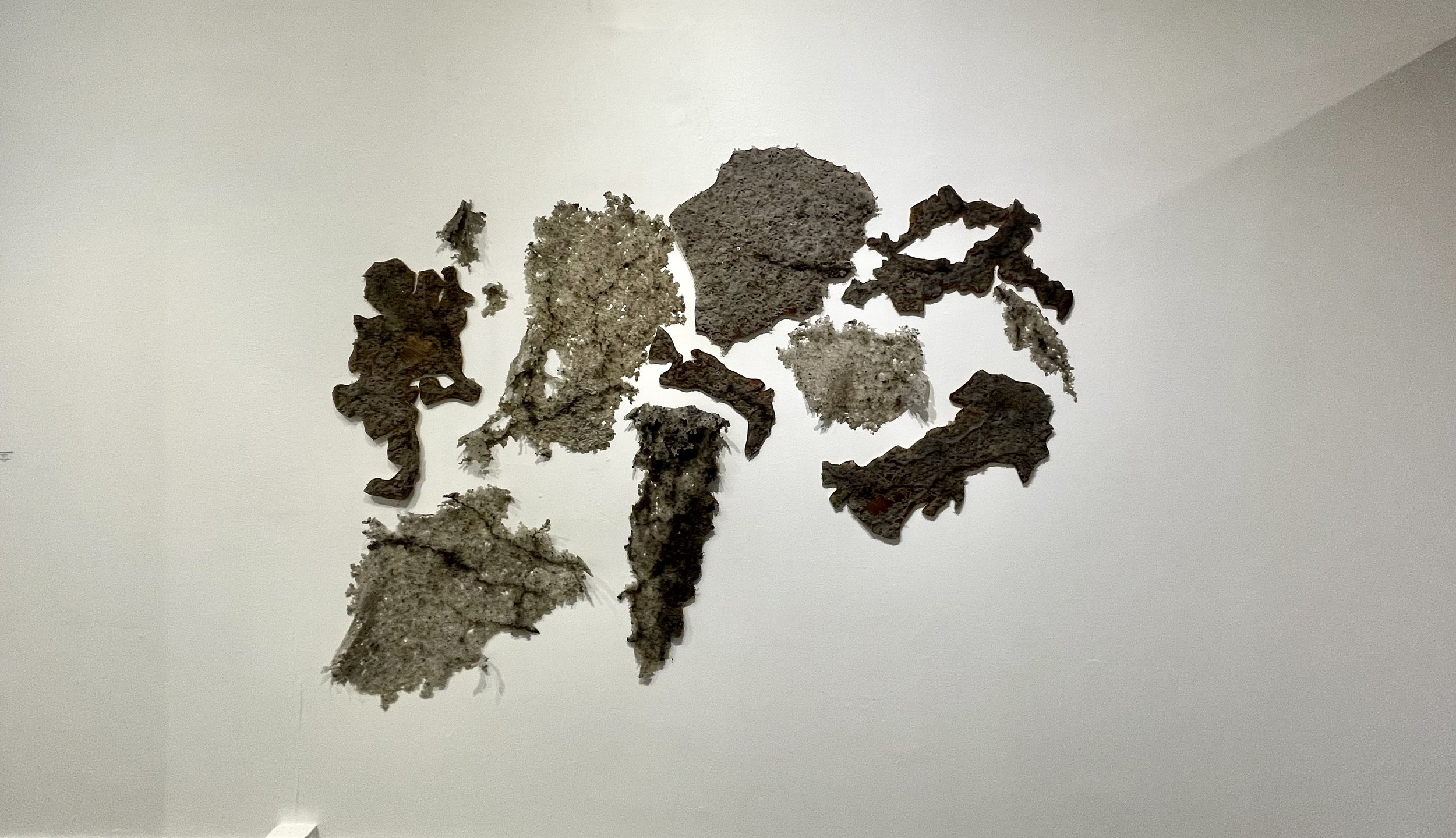 Fitzgerald_Hannah_Where your Feet Stand - morgan rose free.jpeg