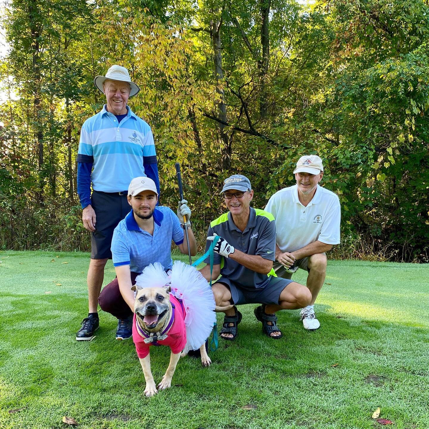 We&rsquo;re officially less than one month out from our 7th annual Survivor Scramble at the Links of Novi! 

We are still looking for company and individual sponsors, raffle basket and liquor donations! Visit our website or email Jessica@barknation.o