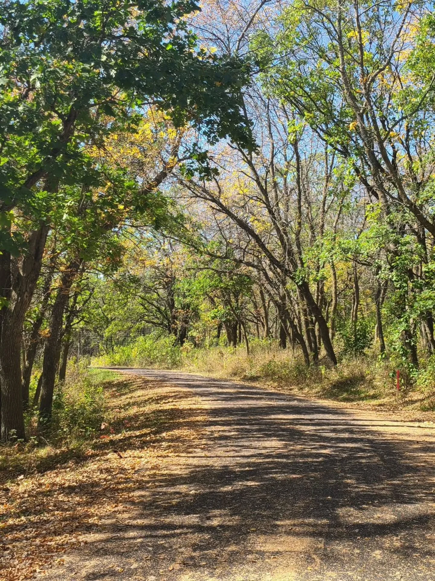 Out capturing the amazing Autumn views.

#nature #autumn #fall #loveit