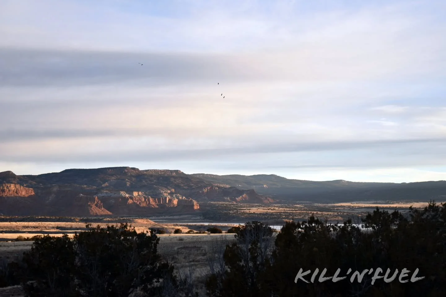 Down by the dam

#newmexico #winter #landscapes #nature #beauty