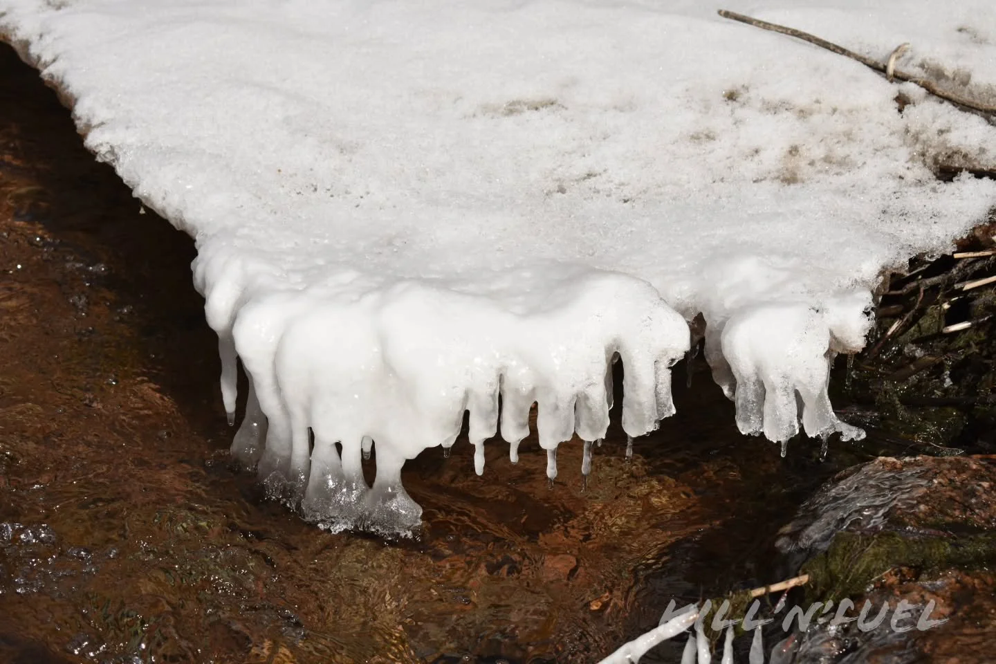 Nice formations

#icicles #dripping #river #frozen #melting #snow #colorado #nature