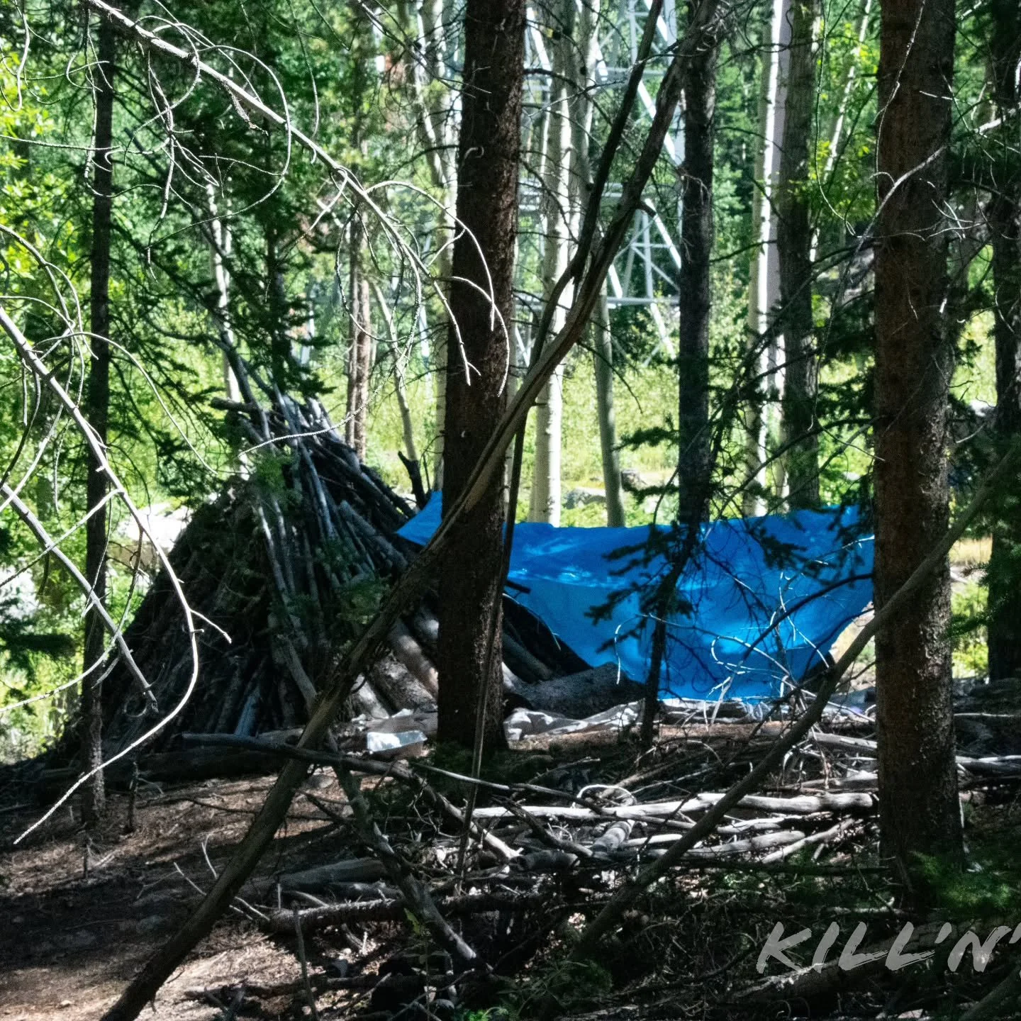 Looks cozy

#tent #rustic #camping #rural #pine #forest #nature